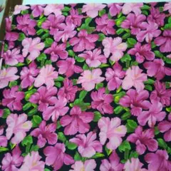 Item thumbnail for item ef9231b5-8b6c-43fe-8954-b0655315b671