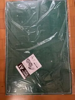 Item thumbnail for item 692b8ad9-5a49-428e-8f19-bedcdff5fe1f