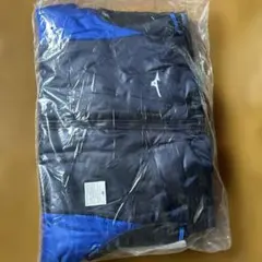 Item thumbnail for item 30057e68-97ca-42b2-b7b0-8133478b4320