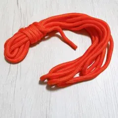 Item thumbnail for item d1f35709-22e9-43f0-a26c-bcba1e855024