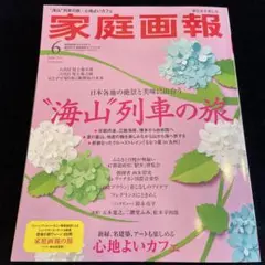 家庭画報プレミアムライト 2025年6月号