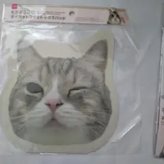 猫型マウスパッド　もちまる日記　パソコン用品　文房具　廃盤品