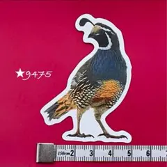 ★9475【新品】ステッカー 動物 カンムリウズラ 冠鶉 トリ 鳥 とり シール