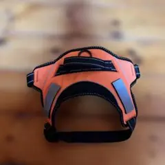 Item thumbnail for item e316b8e7-d0de-42db-a87d-41b2db136ca9