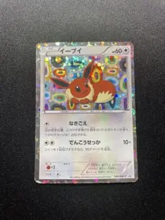 ポケカ イーブイ 189/BW-p psa9 イーブイコレクション 189/BW-P イーブイ： コレクションファイル イーブイ
