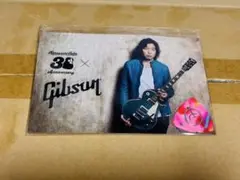 Gibson×斉藤和義　ポストカード&ピック