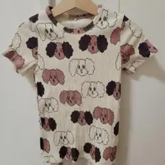 Item thumbnail for item 1d17fc55-a822-47a8-ae1b-037429291598