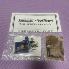 即決可　ハイキュー‼︎ エアー サロンパス アクリルスタンド ハイキュー グッズ