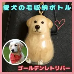 Item thumbnail for item cae79f55-a2d9-46d4-b24d-1aed7f482bec