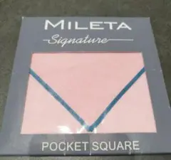 Item thumbnail for item 6d295b3b-c098-439e-b0ae-e2e5230819da