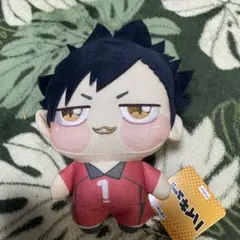 ハイキュー 黒尾鉄朗 ちょぴぬい ぬいぐるみ