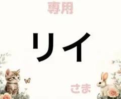 専用