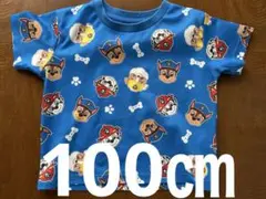 キッズ服　パウパトロール　青　メッシュ　半袖