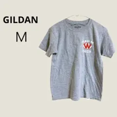 GILDAN グレー Tシャツ Mサイズ CLASS OF 2029