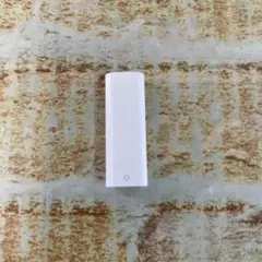  純正 USB-C Apple PenciIアダプタ－ A2869