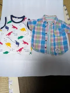 Item thumbnail for item 0b6a0d01-edf2-41a7-ab42-4bc5f0b4d80e