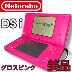 【美品】Nintendo DSi グロスピンク 本体＋SDカード＋ペン