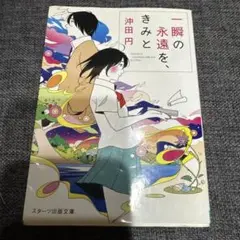 一瞬の永遠を、きみと 小説 沖田円