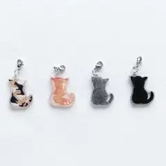 子猫のチャーム