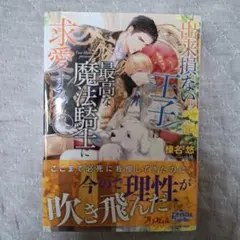 出来損ない王子は最高な魔法騎士に求愛する