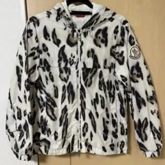 Item thumbnail for item 0dd67f46-99fd-4fd4-b100-54398360d0fb