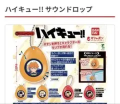 ハイキュー!! サウンドドロップ キーホルダー