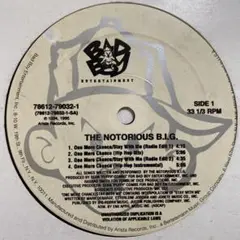 The Notorious B.I.G. レコード　バラ売り可 2025年最新】the notorious big レコードの人気アイテム - メルカリ