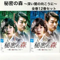 秘密の森 深い闇の向こうに 全12巻セット DVD 廃盤