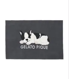 PIQUE フレンチブルドッグ 正規品♡新品 ジェラートピケ フレンチブルドッグジャガードプル