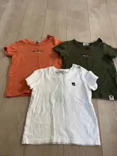 Item thumbnail for item 0c9faf0b-a717-42f4-96c9-29ce285ad81f