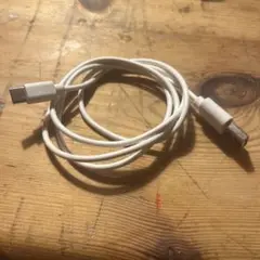 USB Type-c 充電ケーブル 1m