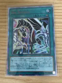 シンテリトリー　20thシク
