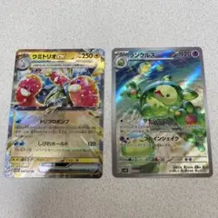 ウミトリオEX & ランクルス セット
