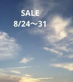 確認ページ