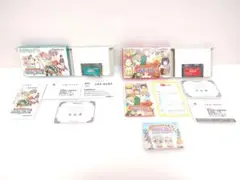 箱 説明書 はがき ゲームボーイアドバンス なりきりダンジョン2 3 セット