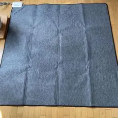 Electrolux (エレクトロラックス) 電磁波カット　ホットカーペット エレクトロラックス、電磁波をカットするホットカーペット