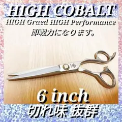 Item thumbnail for item 28de6277-27d8-400c-859b-296149cd4216