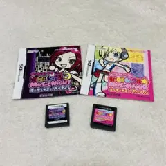 ニンテンドーDSソフト ピンキーストリート
