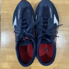 Mizuno WAVE DUEL ウェーブデュエル　26cm