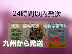 株主優待 北海道グリーンランド 三井グリーンランド 熊本グリーンランド入場券5