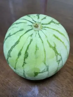 2点　確認用
