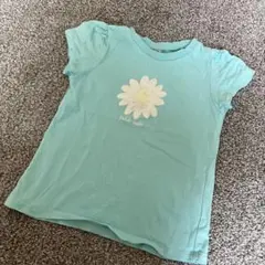 【着用3〜４回】petit main 花刺繍 Tシャツ 水色