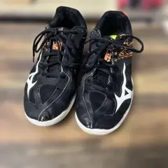 Item thumbnail for item 4bffa119-c6de-4050-9912-01530b9d8e0a