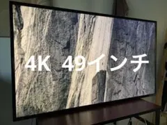 IO DATA 49インチ 4Kディスプレイ EX LD4K492DB 4K液晶