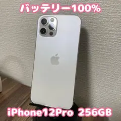 【バッテリー100%】【即日発送！】iPhone12Pro 256GB