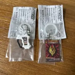 仮面ライダー めじるしアクセサリー2 アドベントカード　ゾンビガシャットセット
