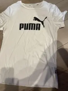 プーマ　Tシャツ