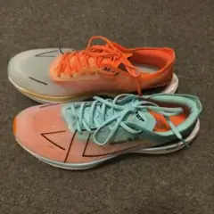 Item thumbnail for item 055d4310-99b6-48a8-a7ae-6b6645eed140