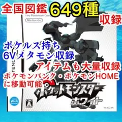 ポケットモンスター　ホワイト　ポケモン　ブラックホワイト　ニンテンドーDS　10