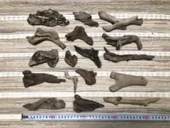 Item thumbnail for item bc588152-2aaa-4f76-b919-f888710b66cd